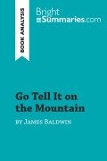 Cover-Bild zum Titel 'Go Tell It on the Mountain by James Baldwin (Book Analysis)' von 'Bright Summaries'