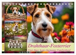 Drahthaar-Foxterrier (Tischkalender 2025 DIN A5 quer), CALVENDO Monatskalender - Claudia Kleemann