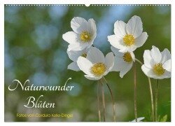 Naturwunder Blüten (Wandkalender 2026 DIN A2 quer), CALVENDO Monatskalender - Cordula Kelle-Dingel CoKeDi-Photographie