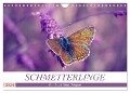 Schmetterlinge im Fokus (Wandkalender 2024 DIN A4 quer), CALVENDO Monatskalender - Julia Delgado
