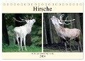 Hirsche - Die stolzen Bewohner des Waldes (Tischkalender 2024 DIN A5 quer), CALVENDO Monatskalender - Arno Klatt