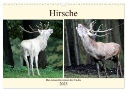 Hirsche - Die stolzen Bewohner des Waldes (Wandkalender 2025 DIN A3 quer), CALVENDO Monatskalender - Arno Klatt