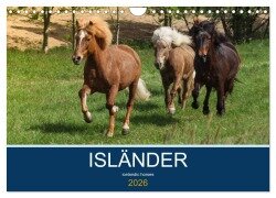 Cover-Bild zum Titel 'Isländer - icelandic horses (Wandkalender 2026 DIN A4 quer), CALVENDO Monatskalender' von 'Alexandra Hollstein'