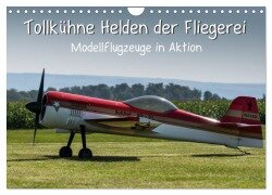 Tollkühne Helden der Fliegerei - Modellflugzeuge in Aktion (Wandkalender 2025 DIN A4 quer), CALVENDO Monatskalender - Sonja Teßen