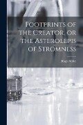 Footprints of the Creator, or the Asterolepis of Stromness - Hugh Miller