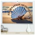 Faszination Muscheln (hochwertiger Premium Wandkalender 2025 DIN A2 quer), Kunstdruck in Hochglanz - Susan Michel