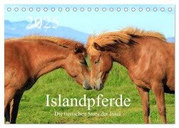 Islandpferde - Die tierischen Stars der Insel (Tischkalender 2025 DIN A5 quer), CALVENDO Monatskalender - Rainer Grosskopf