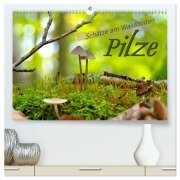 Pilze - Schätze am Waldboden (hochwertiger Premium Wandkalender 2026 DIN A2 quer), Kunstdruck in Hochglanz - LianeM LianeM