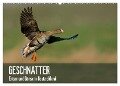 Geschnatter - Enten und Gänse in Deutschland (Wandkalender 2024 DIN A2 quer), CALVENDO Monatskalender - Alexander Krebs