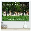 Border Collie 2024 (hochwertiger Premium Wandkalender 2024 DIN A2 quer), Kunstdruck in Hochglanz - Sigrid Starick
