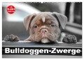 Bulldoggen-Zwerge (Wandkalender 2025 DIN A2 quer), CALVENDO Monatskalender - Elisabeth Stanzer
