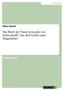 Das Motiv der Natur in Joseph von Eichendorffs "Aus dem Leben eines Taugenichts" - Ellen Saleck