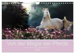 Von der Magie der Pferde (Wandkalender 2026 DIN A4 quer), CALVENDO Monatskalender - Petra Eckerl Tierfotografie