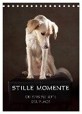 Stille Momente - Die sensible Seite der Hunde (Tischkalender 2024 DIN A5 hoch), CALVENDO Monatskalender - Jana Behr