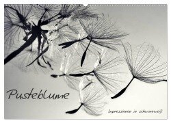 Cover-Bild zum Titel 'Pusteblume - Impressionen in schwarzweiß (Wandkalender 2026 DIN A2 quer), CALVENDO Monatskalender' von 'Julia Delgado'