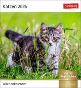Cover-Bild zum Titel 'Katzen Postkartenkalender 2026 - Wochenkalender mit 53 Postkarten' von ''