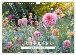 Dahlienglück (Wandkalender 2026 DIN A4 quer), CALVENDO Monatskalender - Gisela Kruse