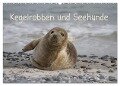 Kegelrobben und Seehunde (Wandkalender 2024 DIN A2 quer), CALVENDO Monatskalender - Antje Lindert-Rottke