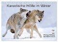 Kanadische Wölfe im Winter (Tischkalender 2024 DIN A5 quer), CALVENDO Monatskalender - Michael Weber