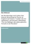 Cover-Bild zum Titel 'Die Theodizeefrage nach Leibniz. Eine kritische Betrachtung der Theorie im Vergleich mit Voltaire's "Candide oder der Optimismus" und mit Kant's Abhandlung "Über das Mißlingen aller philosophischen Versuche in der Theodizee"' von 'Max Hillebrand'
