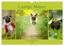 Lustige Möpse aus der Hundeknipserei (Wandkalender 2026 DIN A3 quer), CALVENDO Monatskalender - Kathrin Köntopp