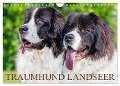 Traumhund Landseer (Wandkalender 2024 DIN A4 quer), CALVENDO Monatskalender - Sigrid Starick
