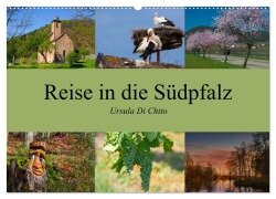 Reise in die Südpfalz (Wandkalender 2025 DIN A2 quer), CALVENDO Monatskalender - Ursula Di Chito