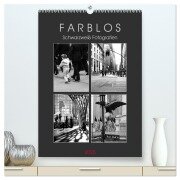 F A R B L O S - Schwarzweiß Fotografien (hochwertiger Premium Wandkalender 2025 DIN A2 hoch), Kunstdruck in Hochglanz - Helene Seidl