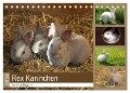 Rex - Kaninchen (Tischkalender 2024 DIN A5 quer), CALVENDO Monatskalender - Anja Bagunk