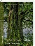 Faszinierende Bäume in der Oberpfalz - Jürgen Schuller