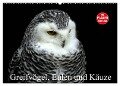 Greifvögel, Eulen und Käuze (Wandkalender 2024 DIN A2 quer), CALVENDO Monatskalender - Arno Klatt