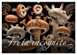 Fruta incognita - Die wundersame Welt des Fotografen Olaf Bruhn (Wandkalender 2026 DIN A2 quer), CALVENDO Monatskalender - Olaf Bruhn