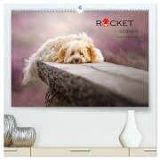 Rocket der Havaneser (hochwertiger Premium Wandkalender 2026 DIN A2 quer), Kunstdruck in Hochglanz - Bettina Dittmann