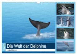 Die Welt der Delphine (Wandkalender 2025 DIN A3 quer), CALVENDO Monatskalender - Heike Hultsch