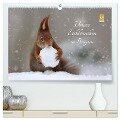 Unsere Eichhörnchen in Bayern (hochwertiger Premium Wandkalender 2024 DIN A2 quer), Kunstdruck in Hochglanz - Birgit Cerny