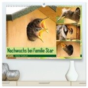 Nachwuchs bei Familie Star (hochwertiger Premium Wandkalender 2026 DIN A2 quer), Kunstdruck in Hochglanz - Heike Hultsch