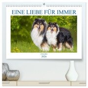 Eine Liebe für immer - Collies (hochwertiger Premium Wandkalender 2026 DIN A2 quer), Kunstdruck in Hochglanz - Sigrid Starick