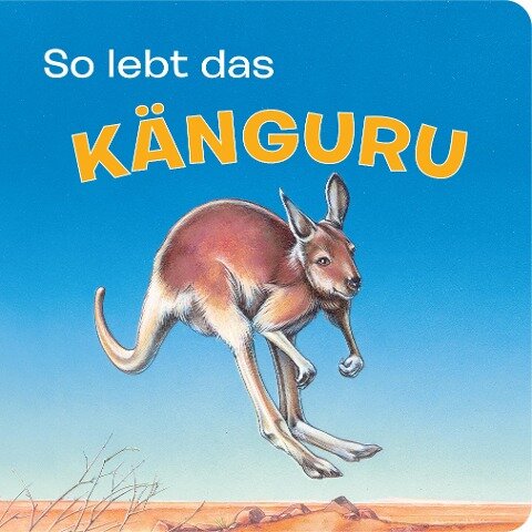 Tierkindergeschichten - So lebt das Känguru - Pappbilderbuch mit farbigen Illustrationen für Kinder ab 18 Monaten - 