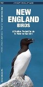 New England Birds - James Kavanagh, Waterford Press
