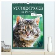Stubentiger im Portrait (hochwertiger Premium Wandkalender 2025 DIN A2 hoch), Kunstdruck in Hochglanz - Sabine Löwer