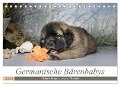 Germanische Bärenbabys (Tischkalender 2024 DIN A5 quer), CALVENDO Monatskalender - Sonja Teßen