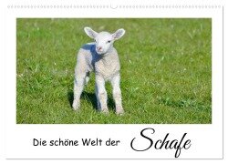 Die schöne Welt der Schafe (Wandkalender 2025 DIN A2 quer), CALVENDO Monatskalender - Angela Rohde