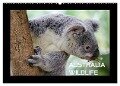 Australia Wildlife (Wandkalender 2024 DIN A2 quer), CALVENDO Monatskalender - Luxscriptura By Wolfgang Schömig