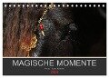 Magische Momente - Pferde Horses Caballos (Tischkalender 2024 DIN A5 quer), CALVENDO Monatskalender - Petra Eckerl Tierfotografie Www. Petraeckerl. Com