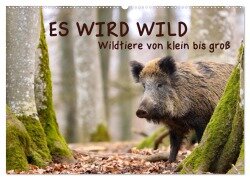 ES WIRD WILD Wildtiere von klein bis groß (Wandkalender 2025 DIN A2 quer), CALVENDO Monatskalender - Angela Merk
