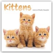 Cover-Bild zum Titel 'Kittens - Kätzchen - Katzenjunge - Katzenbabys 2026 - Wand-Kalender' von 'Carousel Calendar'
