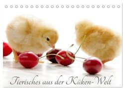 Tierisches aus der Küken-Welt (Tischkalender 2025 DIN A5 quer), CALVENDO Monatskalender - Tanja Riedel