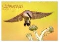 Singvögel (Wandkalender 2024 DIN A3 quer), CALVENDO Monatskalender - Wolfgang Brandmeier