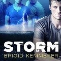 Storm Lib/E - Brigid Kemmerer