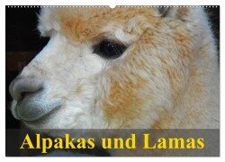 Alpakas und Lamas (Wandkalender 2025 DIN A2 quer), CALVENDO Monatskalender - Elisabeth Stanzer